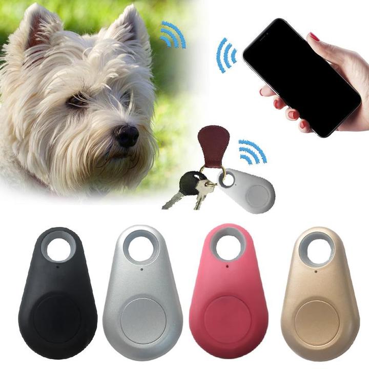 Traceur GPS étanche intelligent mini pour animaux de compagnie avec batterie