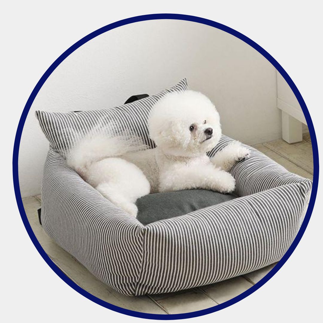 Car Pet Sofa