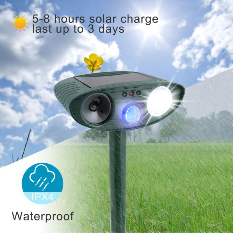 Katt Utendørs Solenergi Ultralyd Avskrekker - Bli kvitt katter på 48 timer eller det er GRATIS