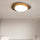 Nordic Iron Wood Grain Pebble LED Flush Mount Ceiling Light