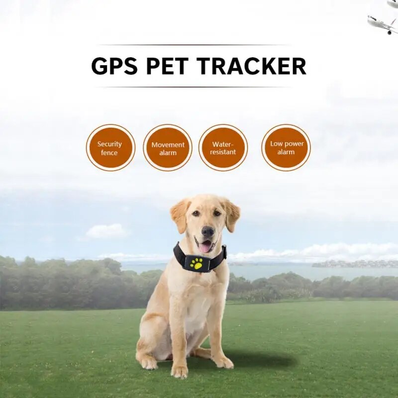 GPS kjæledyrs sporingsenhet