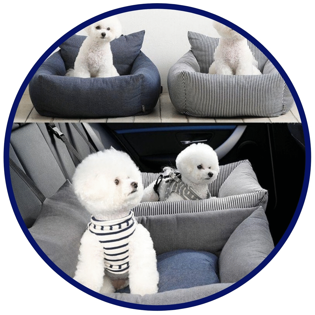 Car Pet Sofa