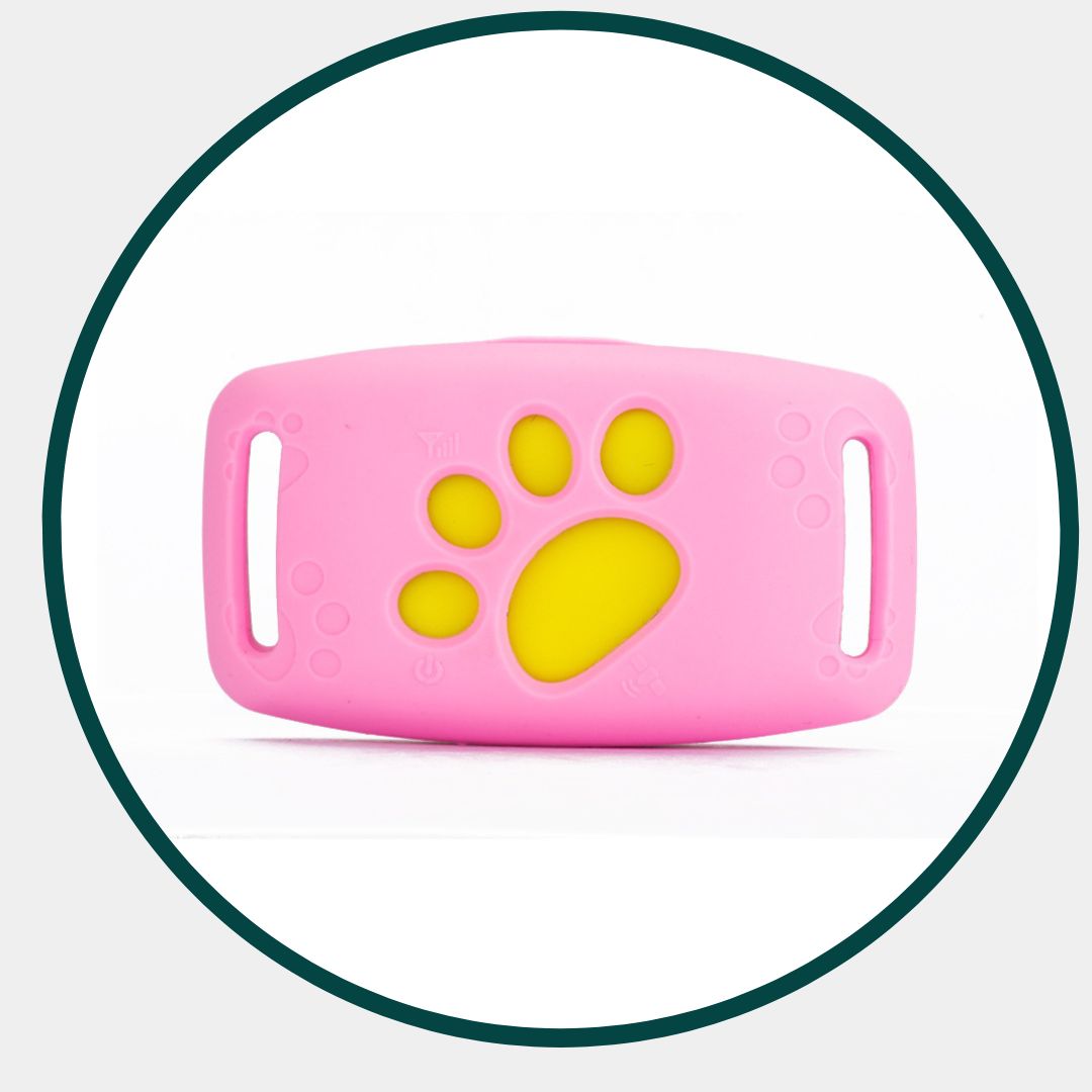 GPS Pet Tracker