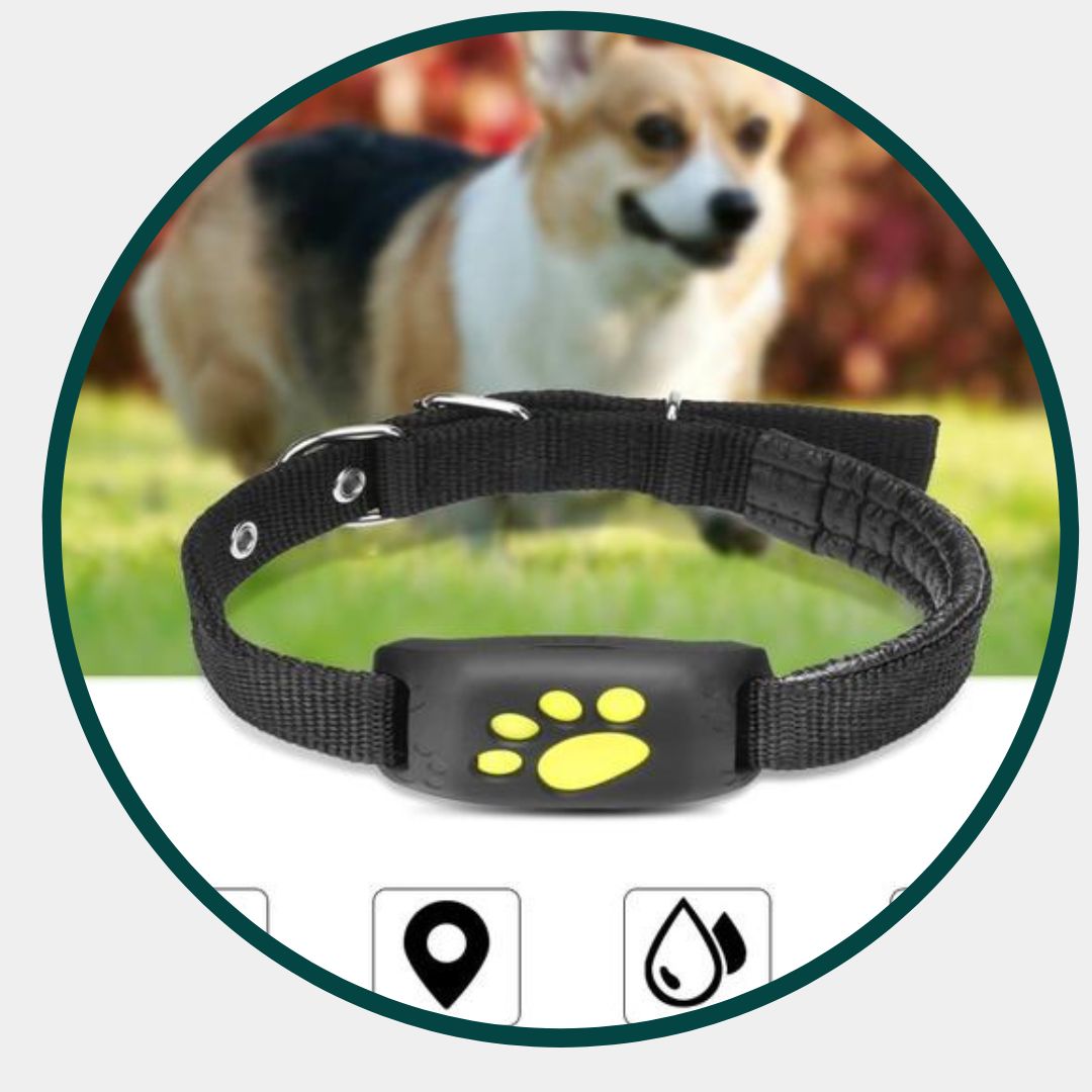 GPS Pet Tracker