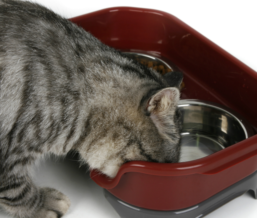 Splashproof Feeding Bowls