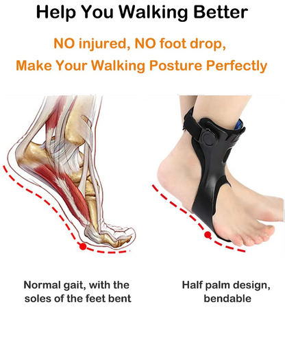 Drop Foot Brace Afo Splint, Ankle Foot Orthosis Support