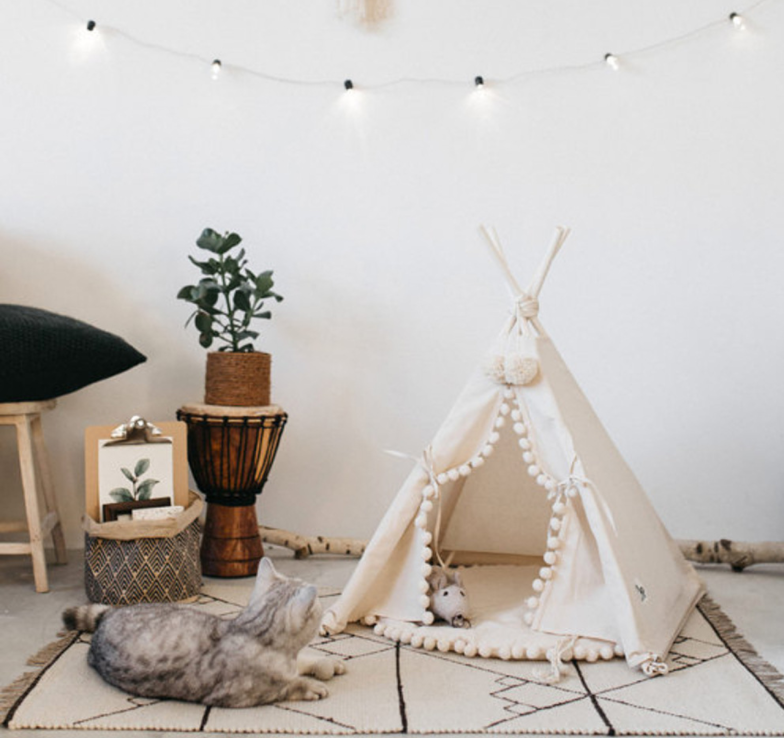 Bohemian Pet TeePee