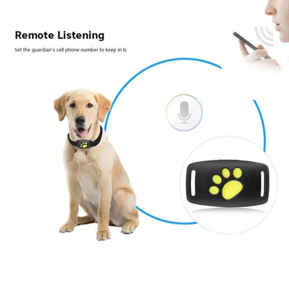 GPS Pet Tracker