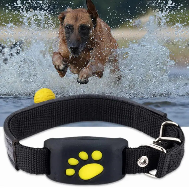 GPS Pet Tracker