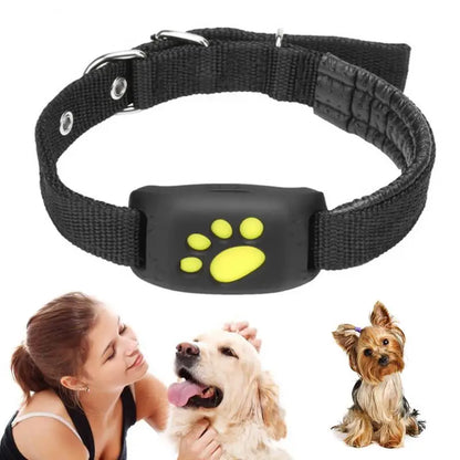 GPS Pet Tracker