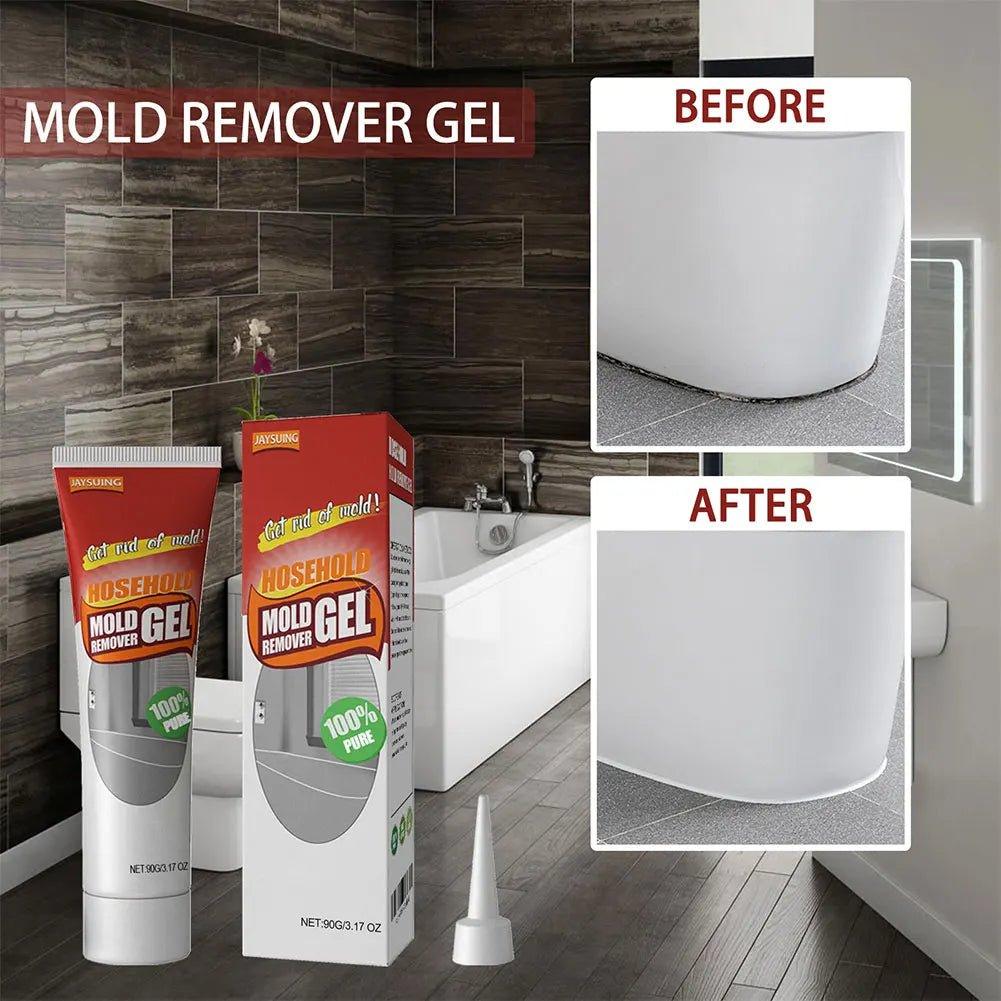 MoldClean™ | Get rid of mold once and for all