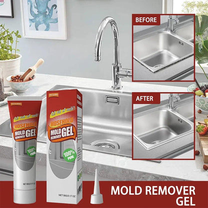 MoldClean™ | Get rid of mold once and for all