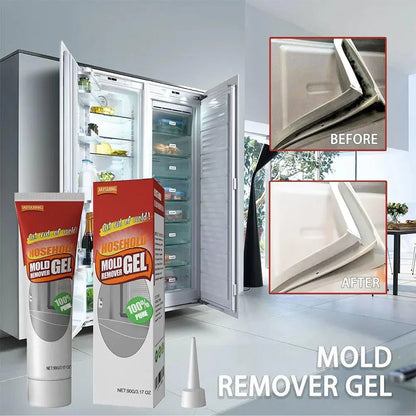 MoldClean™ | Get rid of mold once and for all