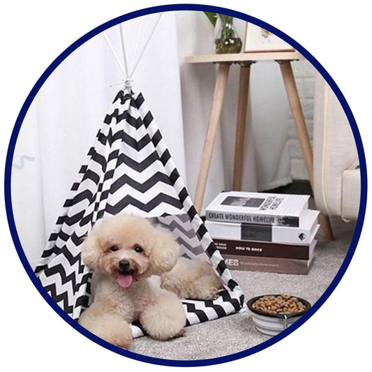 Striped Pet TeePee and Mat