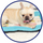 Pet Silk Cooling Mat