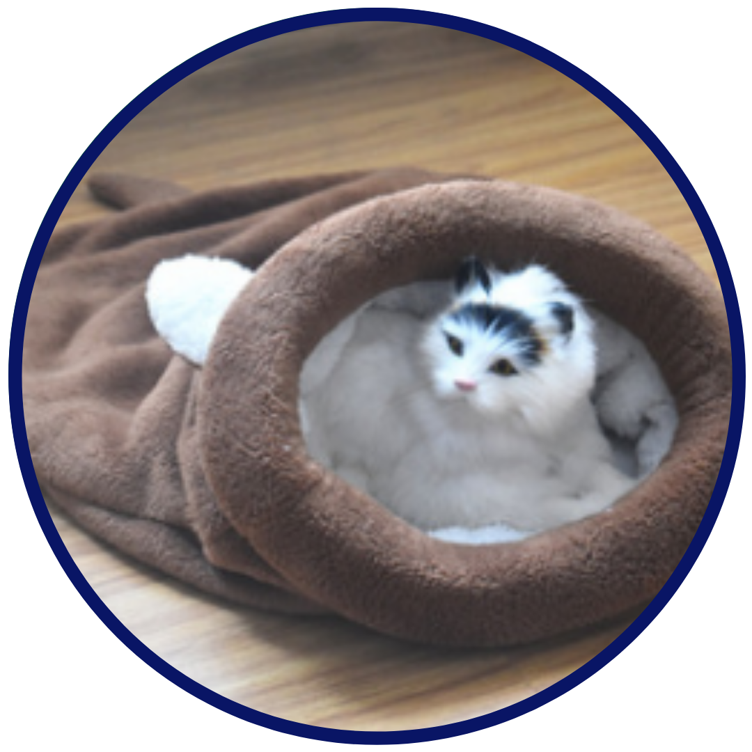 Kitty Sleeping Bag