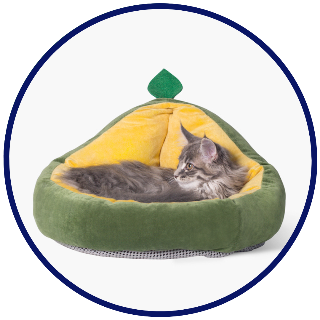 Avocado Bed