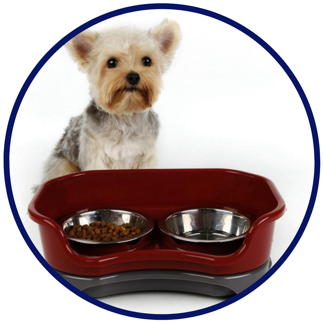 Splashproof Feeding Bowls