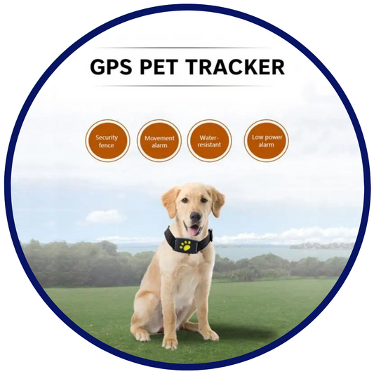 GPS Pet Tracker