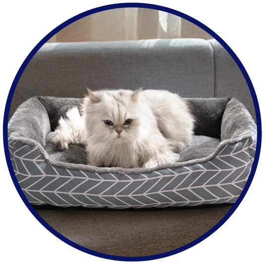 Comfy Pet Bed