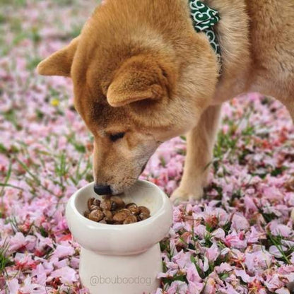 Ceramic Bowl Feeder