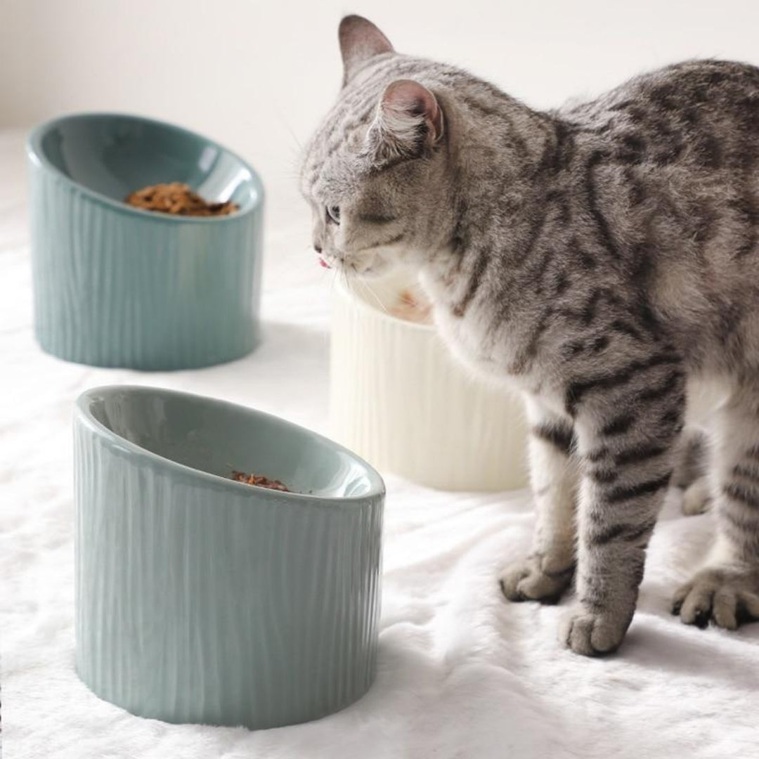 Ceramic Pet Bowl