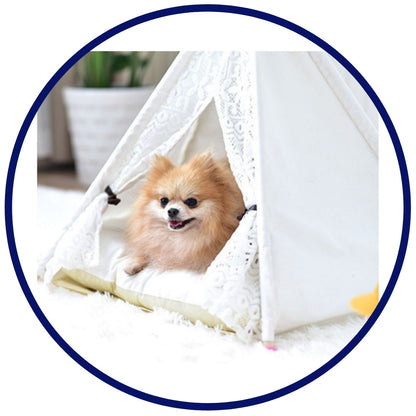 Designer White Pet Teepee