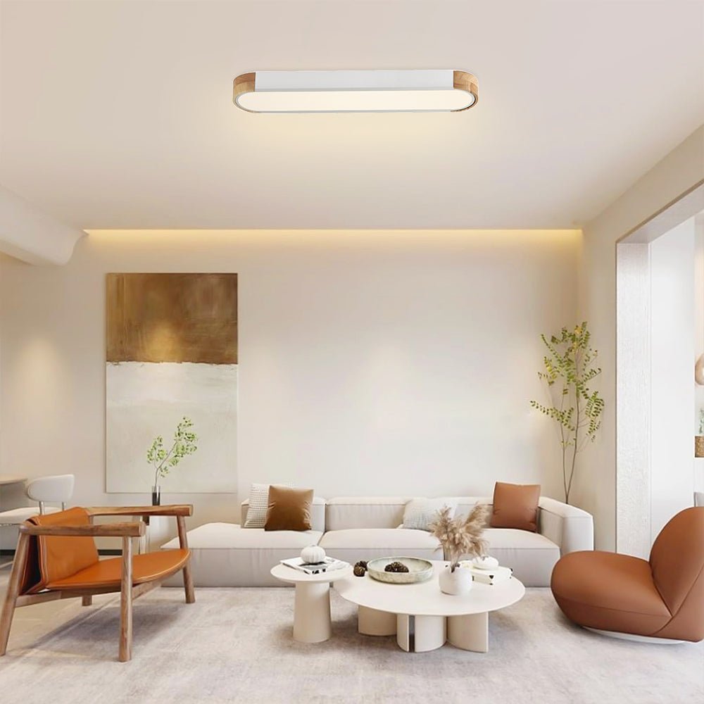 Contemporary Minimalist Led Flush Ceiling Light