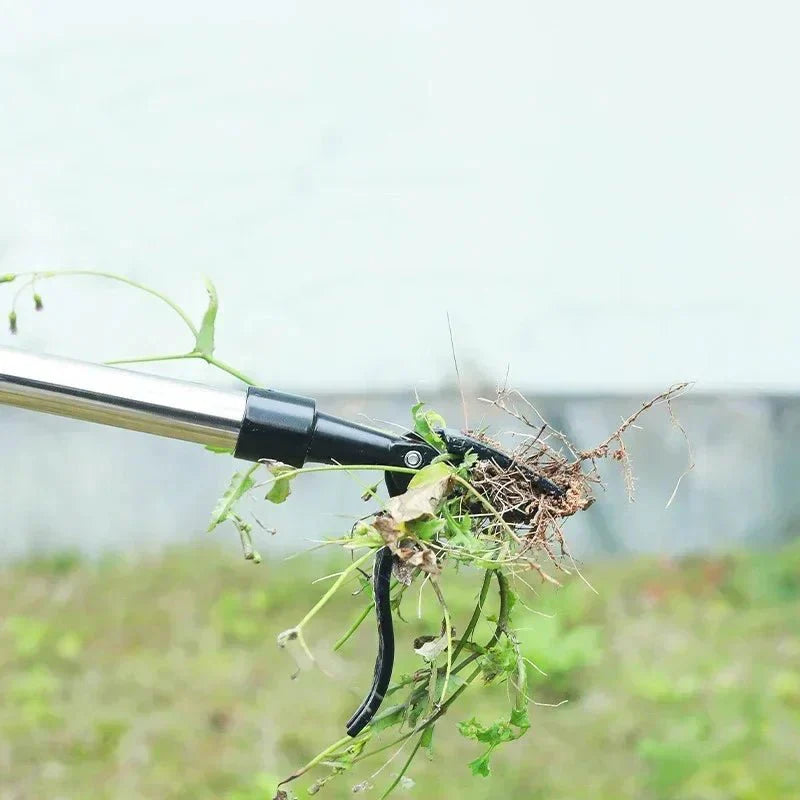 EasyRoot™ | Free your garden from weeds.