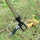 EasyRoot™ | Free your garden from weeds.