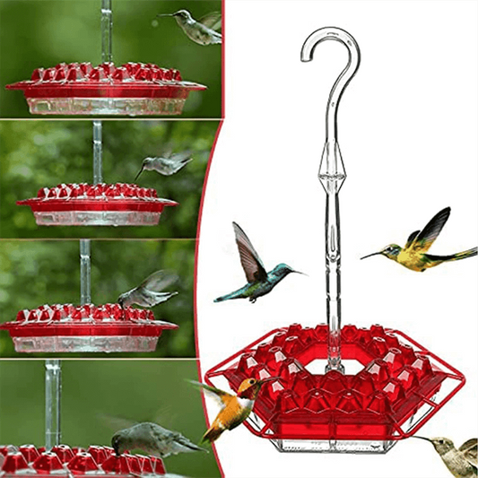 Ant Proof Sweety Hummingbird Feeder With Perch