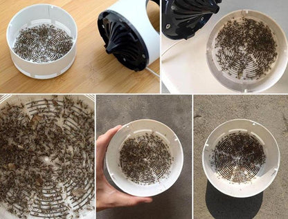 ZoomKill™ | Say goodbye to insects