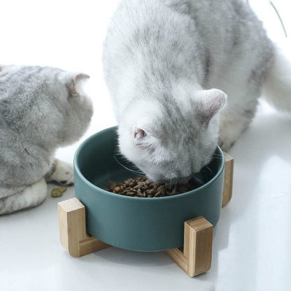 Pet Bowl with Bamboo Stand