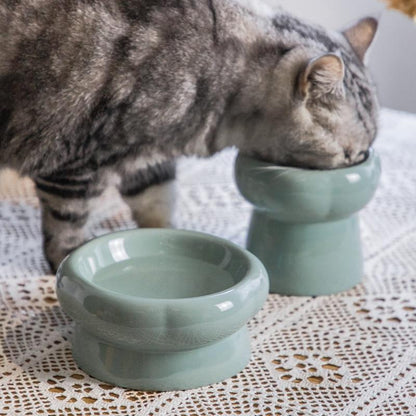 Ceramic Bowl Feeder