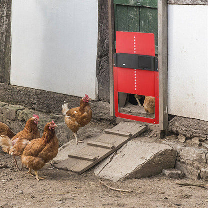 Light Sensor Automatic Chicken Coop